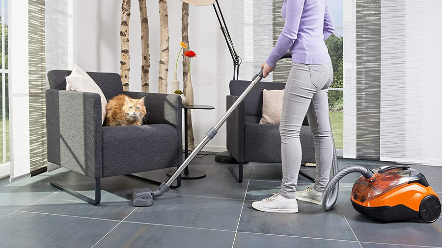 Aspirateur Thomas Cycloon Hybrid Family & Pets